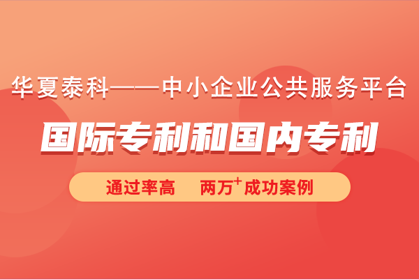 国际专利和国内专利的区别是什么？